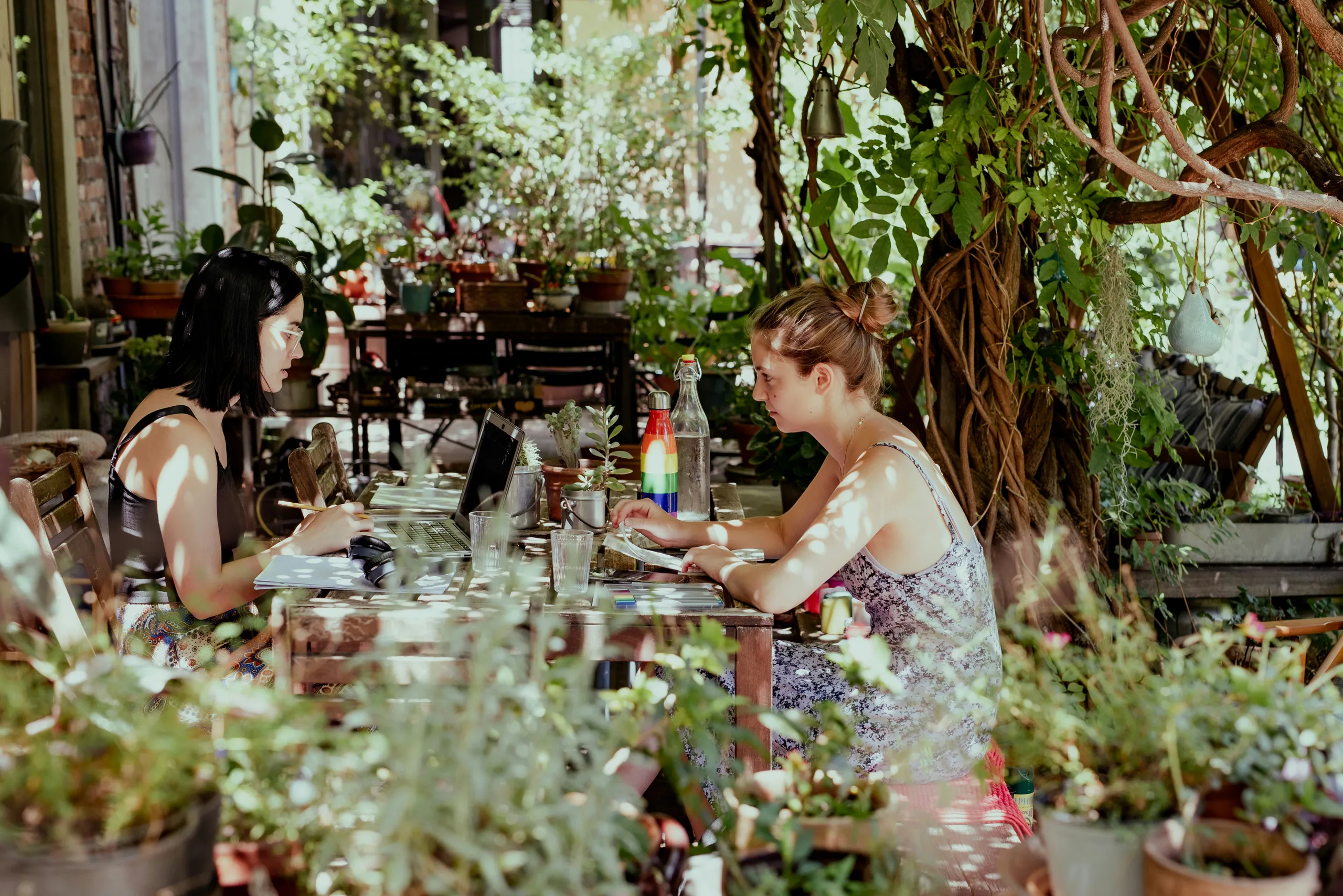 Clientes tomando café entre exuberante vegetación en el centro de jardinería