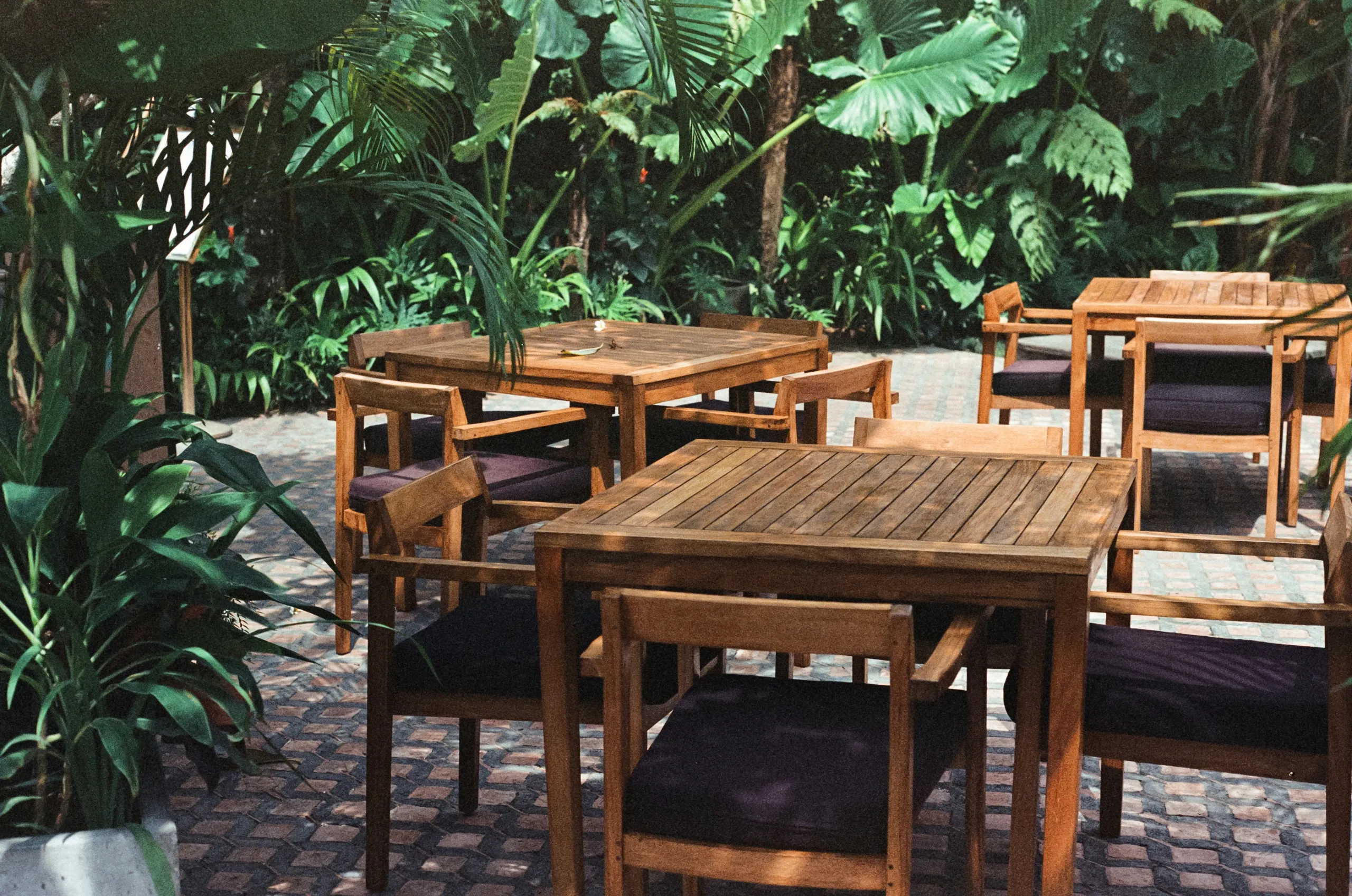 Mesas y sillas de madera en el jardín entre vegetación tropical